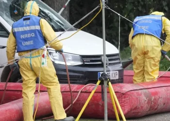 España moviliza a científicos ante amenaza de peste porcina