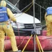 España moviliza a científicos ante amenaza de peste porcina España moviliza a científicos ante amenaza de peste porcina