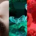 Verde azulado y eucalipto: los colores que definirán 2026