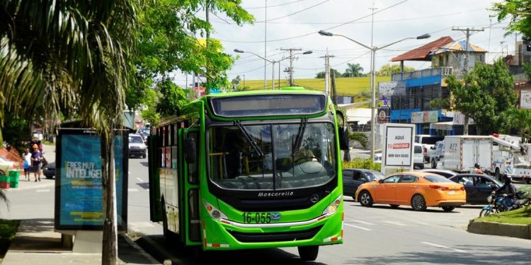 OMSA proyecta millones de viajes, pero no logra reducir tiempos de espera