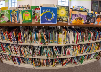 De la prohibición de libros a la renovación de sótanos: 10 ganan el premio I Love My Librarian