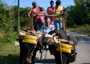 El bloqueo energético de Estados Unidos deja a los agricultores cubanos en dificultades para alimentar a una nación