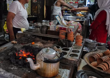 El shock energético afecta las cocinas, los bosques y la conservación en África y el sur de Asia