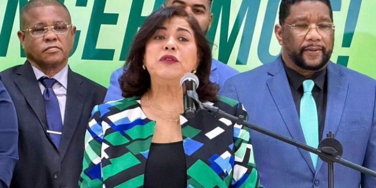 Fuerza del Pueblo afirma que seguridad ciudadana “va en reversa”