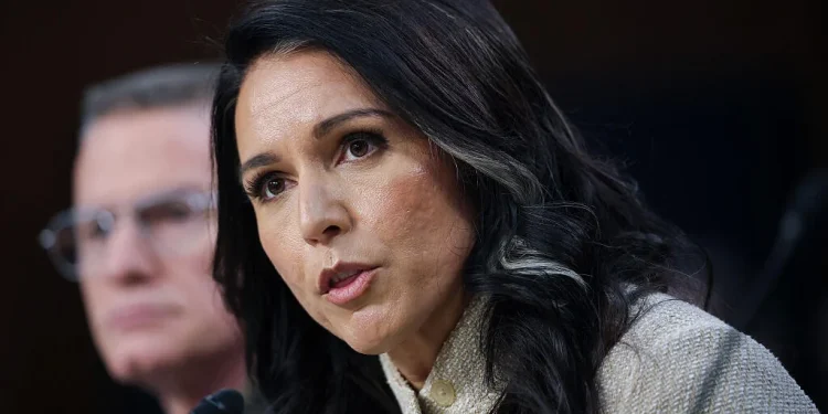 Gabbard envía referencias penales al Departamento de Justicia para denunciar y vigilar que ayudó a lanzar el primer juicio político a Trump