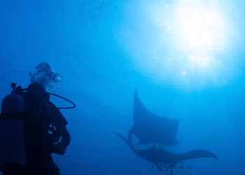 La protección de los océanos choca con la presión minera en el diverso ecosistema marino de Indonesia