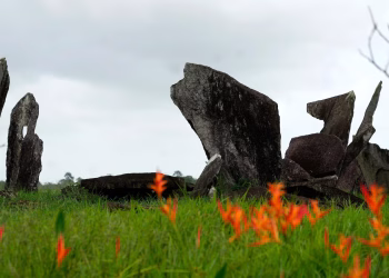 Las excavaciones arqueológicas en el Amazonas proporcionan pistas sobre los habitantes indígenas antes de la colonización