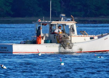 Los consumidores están perdidos en el mar a medida que la sostenibilidad de los productos pesqueros se vuelve más compleja