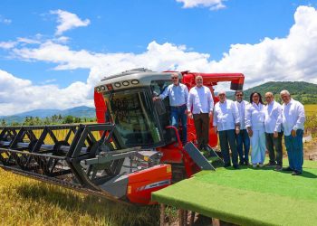 Ministro de Agricultura dice RD se convierte en el mayor productor de arroz del Caribe y Centroamérica