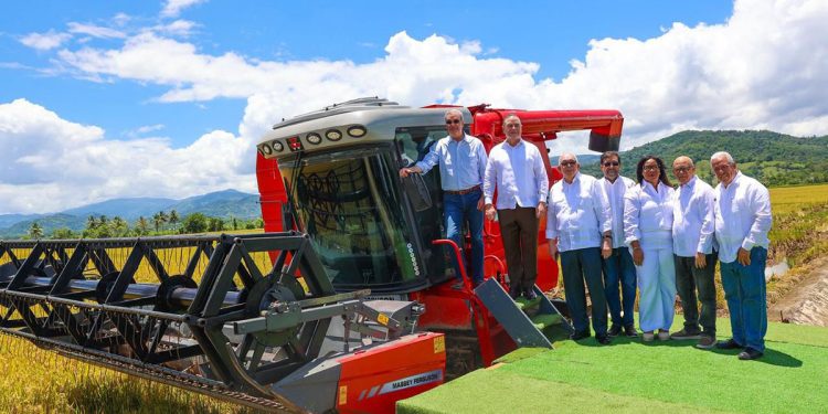 Ministro de Agricultura dice RD se convierte en el mayor productor de arroz del Caribe y Centroamérica