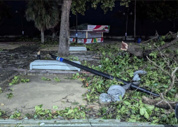 Un ventarrón derriba varios árboles y postes del tendido eléctrico en el sur de la capital – El Nuevo Diario (República Dominicana)