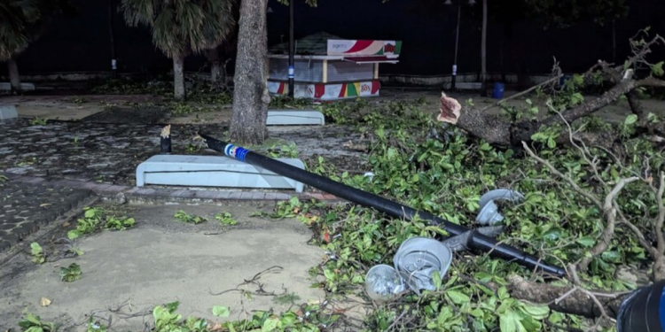 Un ventarrón derriba varios árboles y postes del tendido eléctrico en el sur de la capital – El Nuevo Diario (República Dominicana)