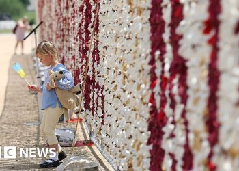 Ver: 20.000 osos de peluche resaltan la difícil situación de los niños ucranianos desaparecidos