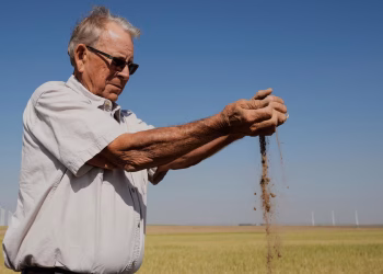 Agricultores de Kansas arrastrados por los extremos climáticos y los costos de crecimiento, la cosecha de trigo podría ser la peor desde 1972