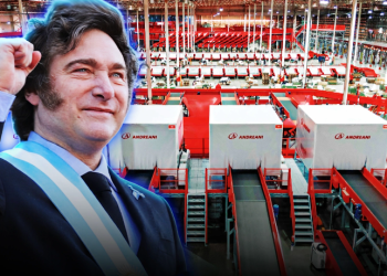 Andreani invirtió USD 30 millones para la automatización integral de su planta en Pacheco