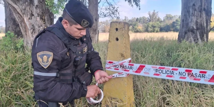 Caso Agostina Vega: intensa búsqueda de la adolescente desaparecida en Córdoba