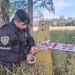 Caso Agostina Vega: intensa búsqueda de la adolescente desaparecida en Córdoba Caso Agostina Vega: intensa búsqueda de la adolescente desaparecida en Córdoba