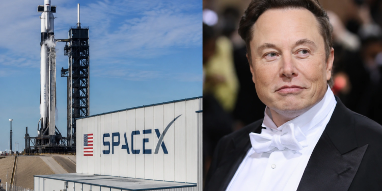 De cuánto es la mega inversión que Elon Musk invertirá en chips de IA para SpaceX De cuánto es la mega inversión que Elon Musk invertirá en chips de IA para SpaceX