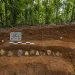 Descubrimiento en selva africana: humanos habitaron bosques tropicales hace 150.000 años Descubrimiento en selva africana: humanos habitaron bosques tropicales hace 150.000 años