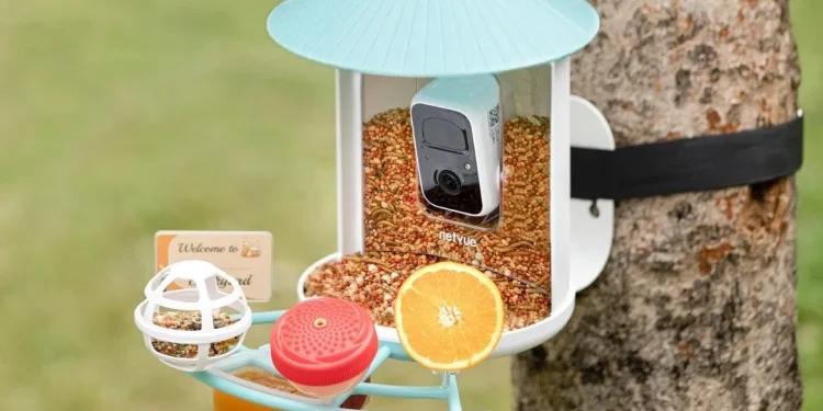 El comedero inteligente para pájaros de Birdfy alcanza su mejor precio para el Día de la Madre