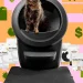 El paquete Litter-Robot 4 vuelve a alcanzar su mejor precio del año El paquete Litter-Robot 4 vuelve a alcanzar su mejor precio del año