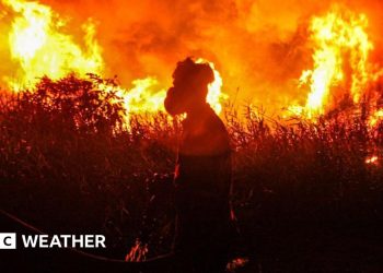 Es posible que se produzcan temperaturas globales récord a medida que aumentan las posibilidades de un 'súper El Niño'