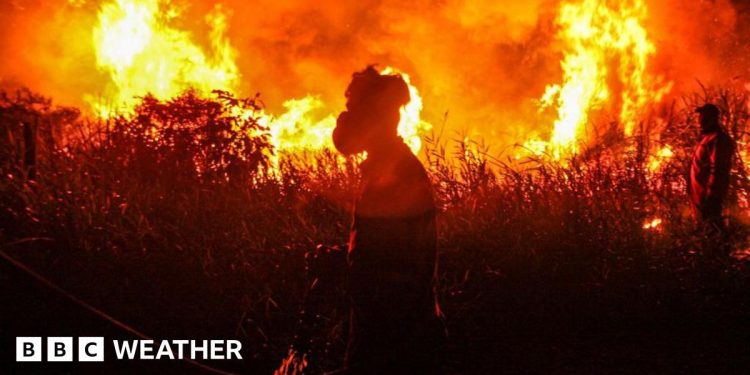 Es posible que se produzcan temperaturas globales récord a medida que aumentan las posibilidades de un 'súper El Niño'
