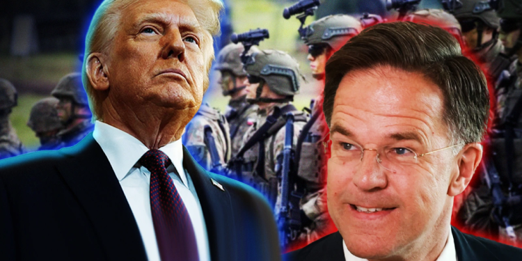 Europa reforzará su compromiso militar tras las advertencias de Donald Trump, según la OTAN Europa reforzará su compromiso militar tras las advertencias de Donald Trump, según la OTAN