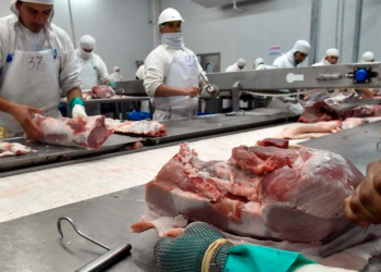 Frigoríficos de Córdoba potencian sus ventas ante la alta demanda de Estados Unidos