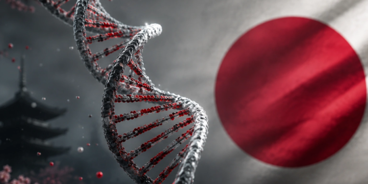 Gran descubrimiento de ADN reescribe la historia de los japoneses Gran descubrimiento de ADN reescribe la historia de los japoneses