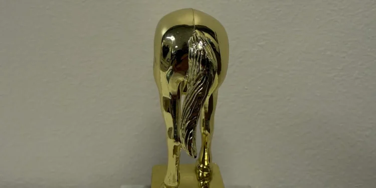 He aquí el trofeo del burro de Elon Musk