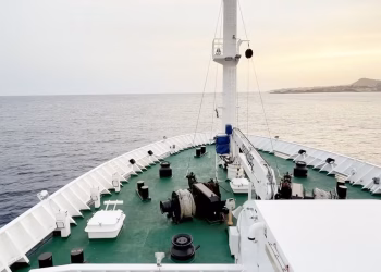 La demanda de cruceros no parece disminuir a pesar del hantavirus y otros brotes a bordo