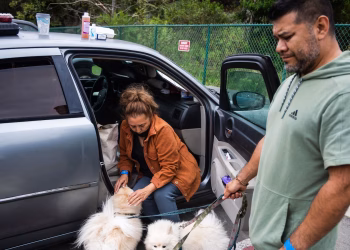 Los funcionarios levantan las órdenes de evacuación para algunos residentes de California que viven cerca de un tanque químico dañado