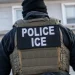 Memorándum del DHS ordena a ICE que intensifique los casos de fraude relacionados con el asilo Memorándum del DHS ordena a ICE que intensifique los casos de fraude relacionados con el asilo