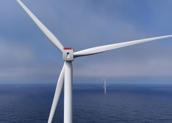 Mientras Trump apunta a la energía eólica marina, una mirada a la industria global en cifras