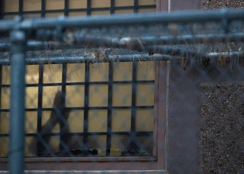 Miles de solicitantes de asilo abandonan sus casos mientras ICE busca deportarlos a países de los que no son