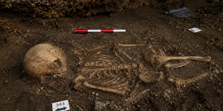 “Ossick Lass”: identifican como una niña los restos humanos más antiguos del norte de Gran Bretaña