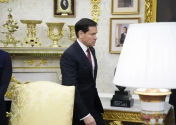 Se especula sobre una campaña presidencial de Marco Rubio