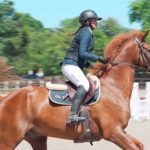 Sea Horse Ranch Show Jumping 2026 culmina con éxito y fortalece el turismo deportivo en Sosúa y Cabarete