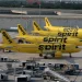 Spirit Airlines cierra y cancela miles de vuelos durante la noche