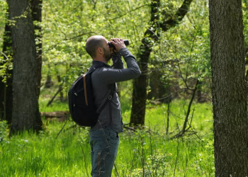 Un grupo serbio de observación de aves utiliza el crowdfunding para comprar y preservar el hábitat boscoso