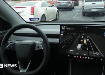 Accidente de Tesla que mató a una mujer bajo investigación federal de EE. UU.