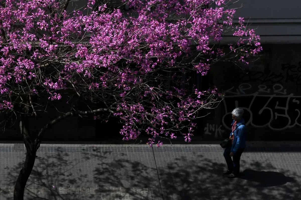 Cómo estará el tiempo el sábado 27 de junio