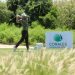 Corales Puntacana Championship regresa con récord histórico y millones en premios Corales Puntacana Championship regresa con récord histórico y millones en premios