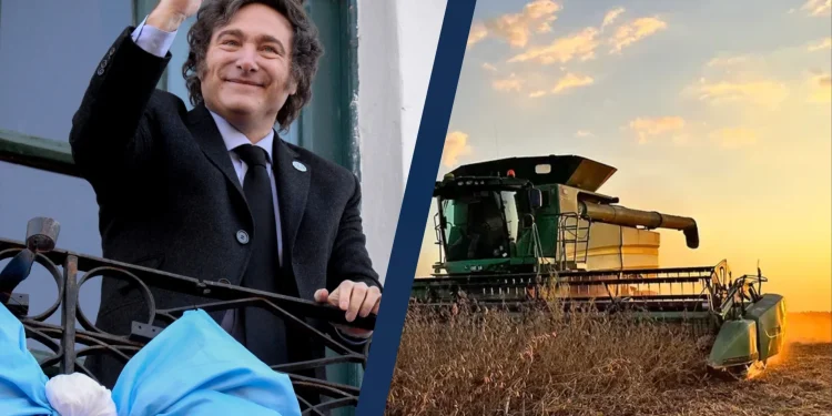 Cosecha récord: el campo cordobés movilizará U$S12.662 millones en una campaña histórica