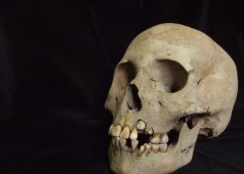 Dientes antiguos reescriben la cronología de la plaga, que se remonta a hace más de 5.500 años