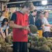 'Durian tsunami': Prices plunge as oversupply hits Malaysia
