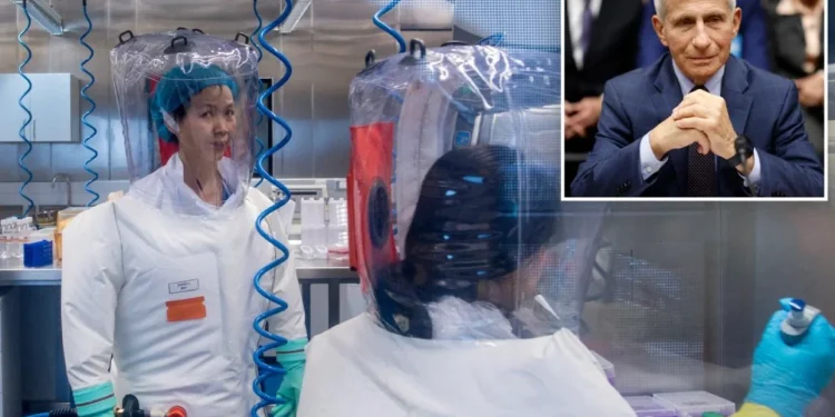 El Gobierno de EEUU confirmó que Fauci financió el laboratorio de Wuhan, origen del COVID