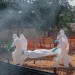 El brote de ébola sigue propagándose en el Congo y "eso significa que nos faltan casos", dice la OMS El brote de ébola sigue propagándose en el Congo y "eso significa que nos faltan casos", dice la OMS