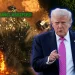 El gobierno de Trump tras abatir al jefe del Tren de Aragua: “No hay refugio para los narcoterroristas” El gobierno de Trump tras abatir al jefe del Tren de Aragua: “No hay refugio para los narcoterroristas”
